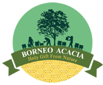 borneo acacia